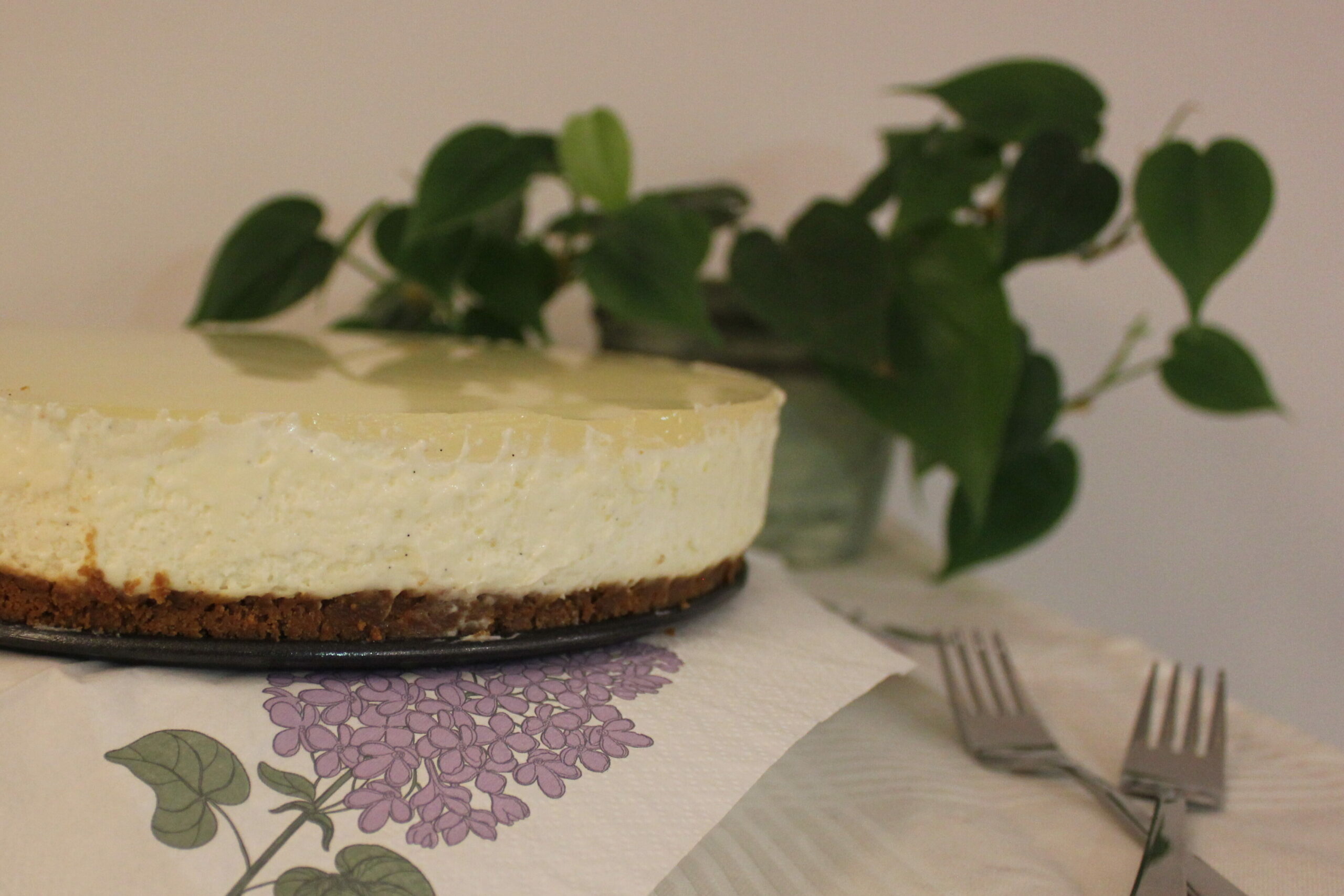 molester Latter indbildskhed Citron cheesecake med bastogne bund – CAMILLA